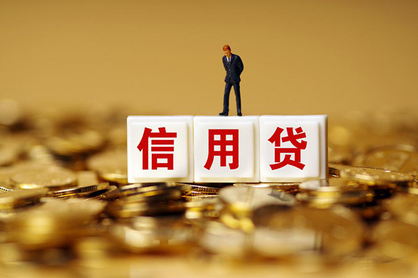 成都信用哪里可以借私借-成都信用个人贷款都有哪些平台-成都信用小额贷款